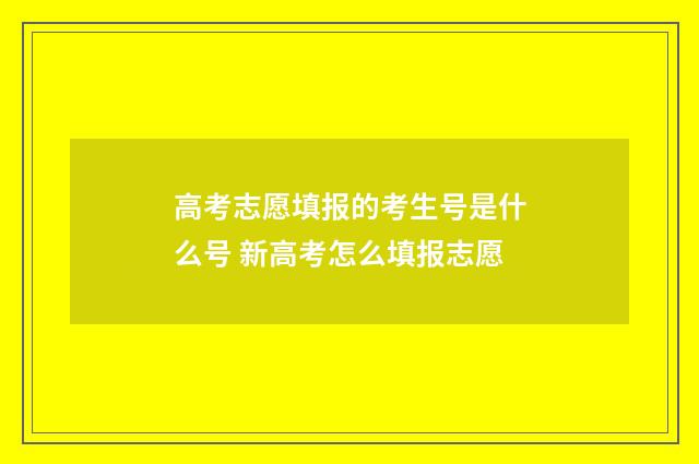 高考志愿填报的考生号是什么号 新高考怎么填报志愿