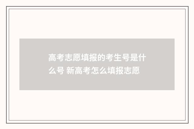 高考志愿填报的考生号是什么号 新高考怎么填报志愿