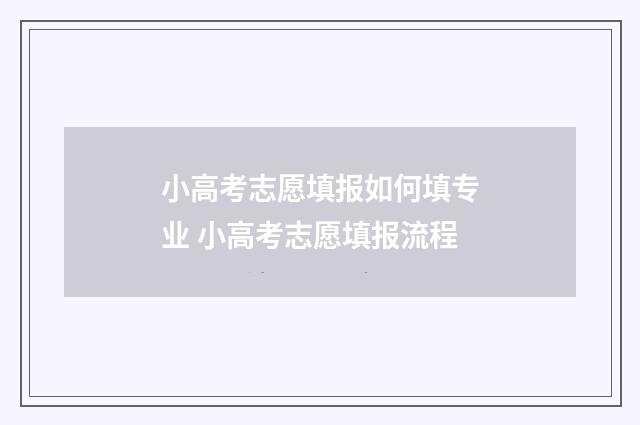 小高考志愿填报如何填专业 小高考志愿填报流程
