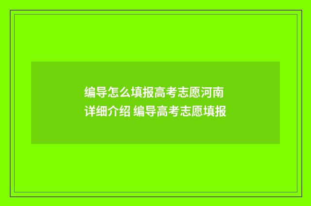 编导怎么填报高考志愿河南 详细介绍 编导高考志愿填报