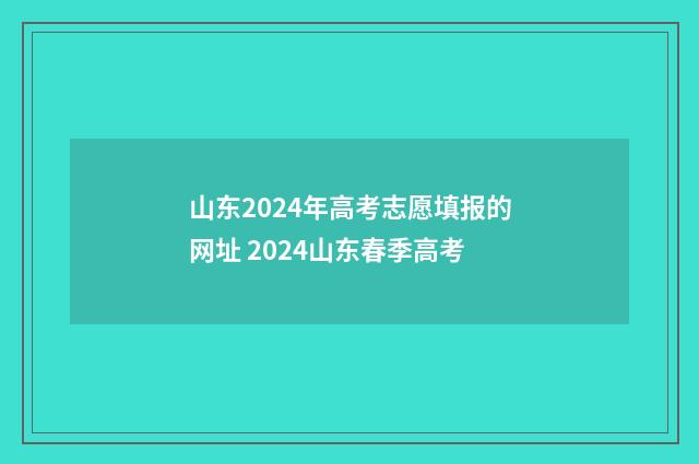 山东2024年高考志愿填报的网址 2024山东春季高考