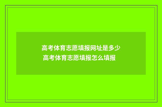 高考体育志愿填报网址是多少 高考体育志愿填报怎么填报