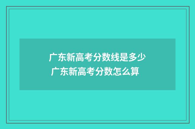 广东新高考分数线是多少 广东新高考分数怎么算
