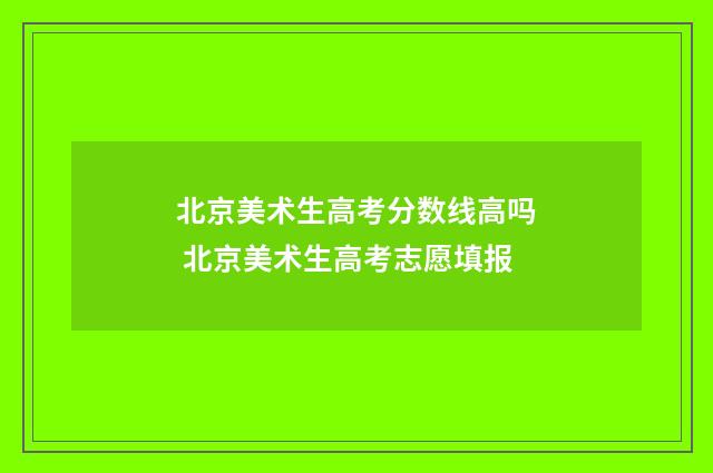 北京美术生高考分数线高吗 北京美术生高考志愿填报