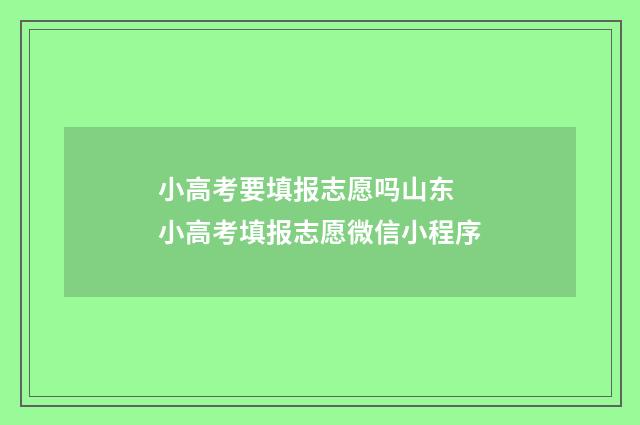 小高考要填报志愿吗山东 小高考填报志愿微信小程序