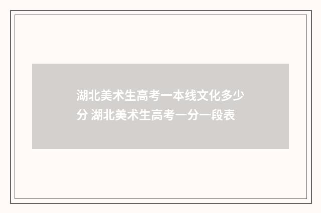 湖北美术生高考一本线文化多少分 湖北美术生高考一分一段表