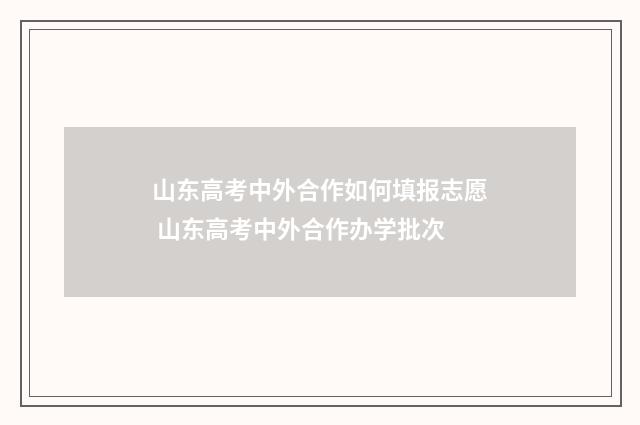 山东高考中外合作如何填报志愿 山东高考中外合作办学批次