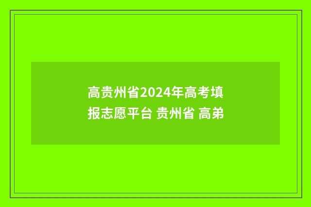高贵州省2024年高考填报志愿平台 贵州省 高弟