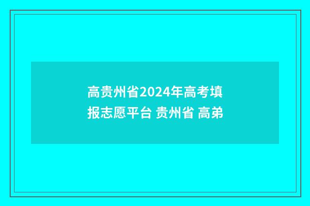 高贵州省2024年高考填报志愿平台 贵州省 高弟