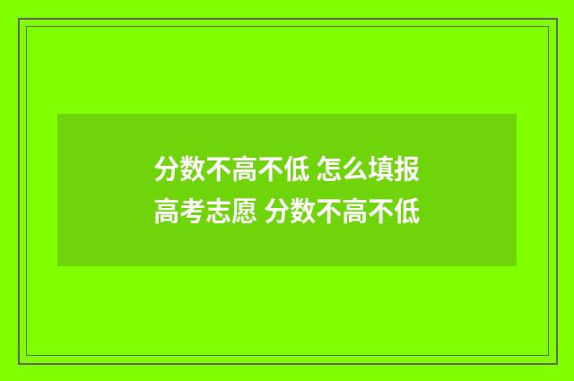 分数不高不低 怎么填报高考志愿 分数不高不低
