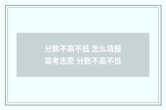 分数不高不低 怎么填报高考志愿 分数不高不低