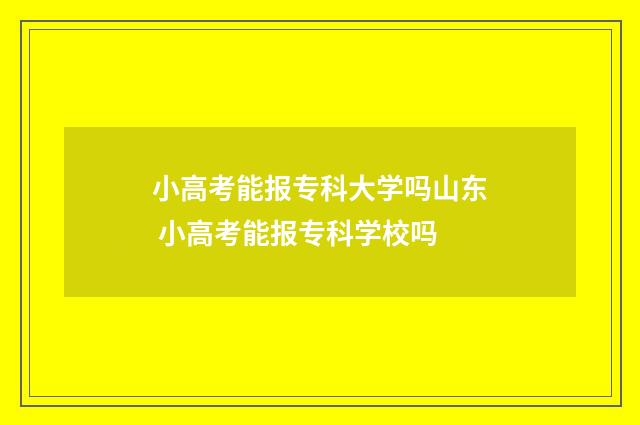 小高考能报专科大学吗山东 小高考能报专科学校吗