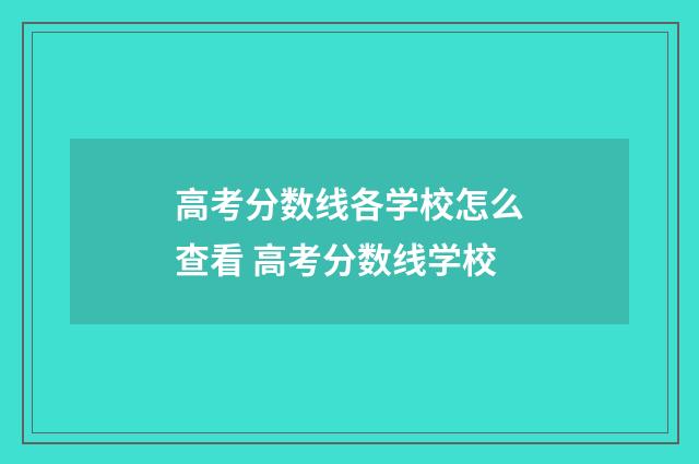 高考分数线各学校怎么查看 高考分数线学校