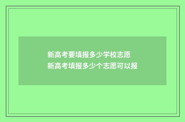 新高考要填报多少学校志愿 新高考填报多少个志愿可以报
