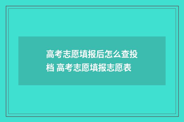高考志愿填报后怎么查投档 高考志愿填报志愿表