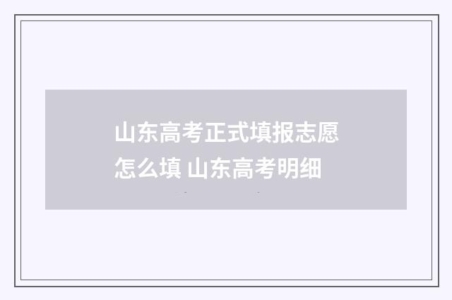 山东高考正式填报志愿怎么填 山东高考明细