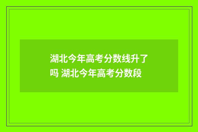 湖北今年高考分数线升了吗 湖北今年高考分数段