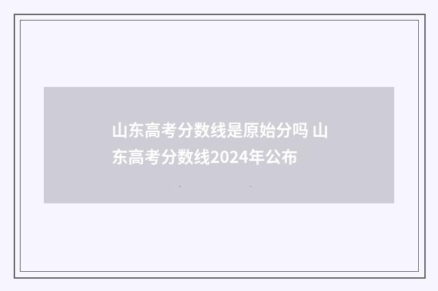 山东高考分数线是原始分吗 山东高考分数线2024年公布