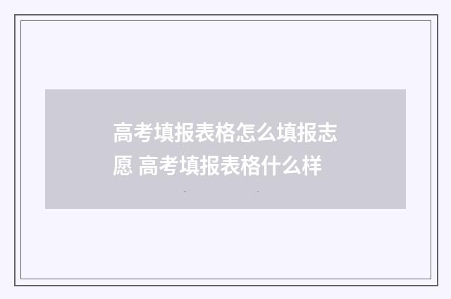 高考填报表格怎么填报志愿 高考填报表格什么样