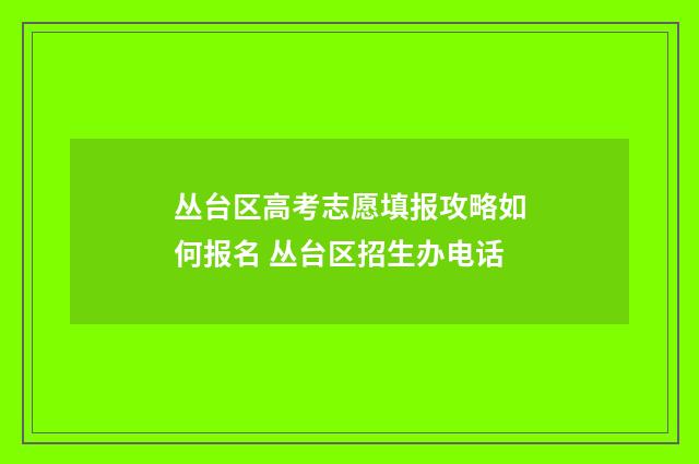 丛台区高考志愿填报攻略如何报名 丛台区招生办电话
