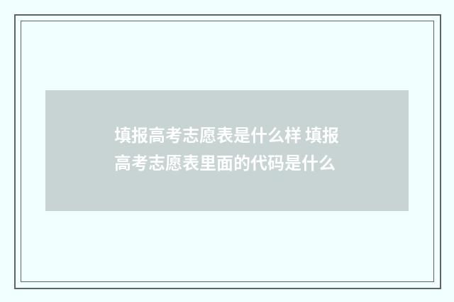 填报高考志愿表是什么样 填报高考志愿表里面的代码是什么