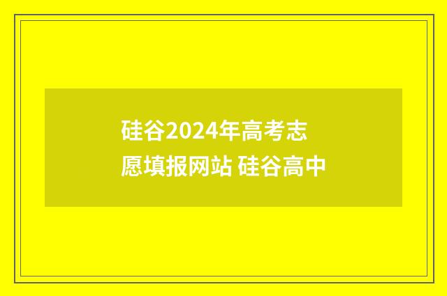 硅谷2024年高考志愿填报网站 硅谷高中
