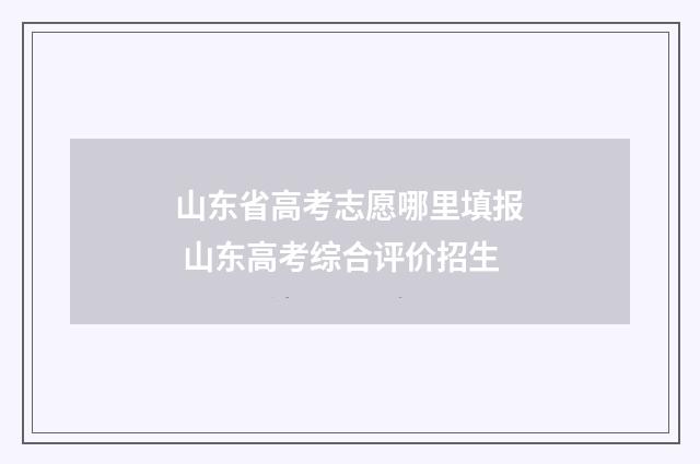 山东省高考志愿哪里填报 山东高考综合评价招生