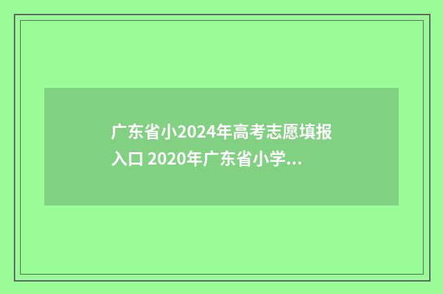 广东省小2024年高考志愿填报入口 2020年广东省小学期末考试时间