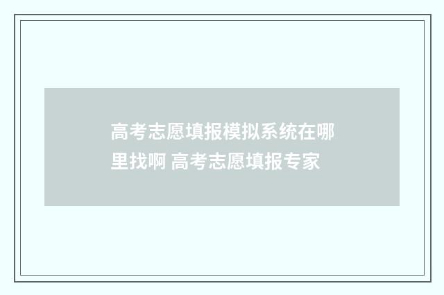 高考志愿填报模拟系统在哪里找啊 高考志愿填报专家