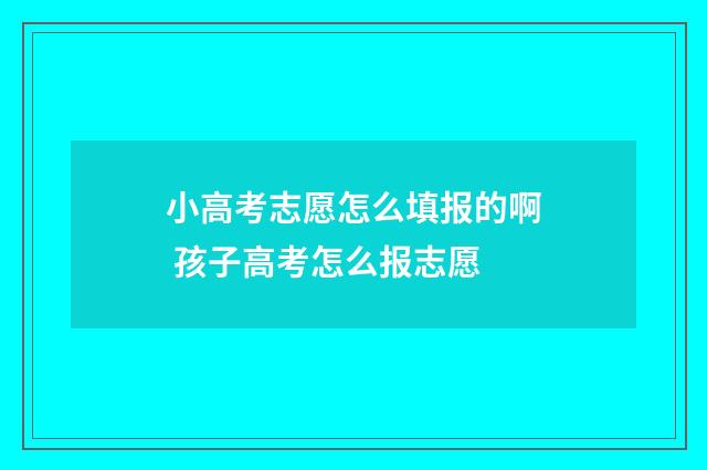 小高考志愿怎么填报的啊 孩子高考怎么报志愿