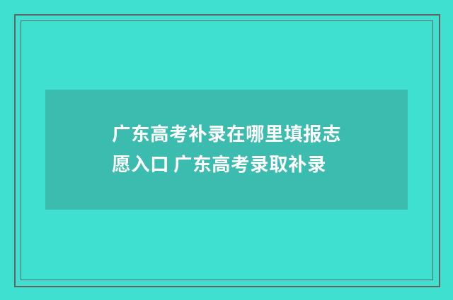 广东高考补录在哪里填报志愿入口 广东高考录取补录
