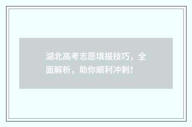 湖北高考志愿填报技巧，全面解析，助你顺利冲刺！
