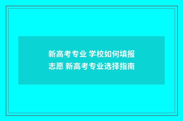 新高考专业 学校如何填报志愿 新高考专业选择指南