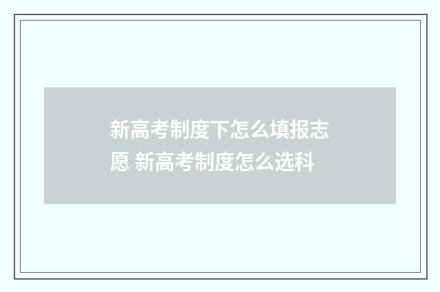 新高考制度下怎么填报志愿 新高考制度怎么选科