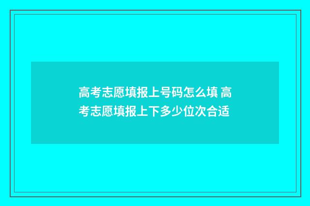 高考志愿填报上号码怎么填 高考志愿填报上下多少位次合适