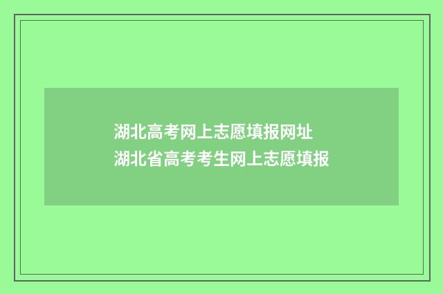 湖北高考网上志愿填报网址 湖北省高考考生网上志愿填报