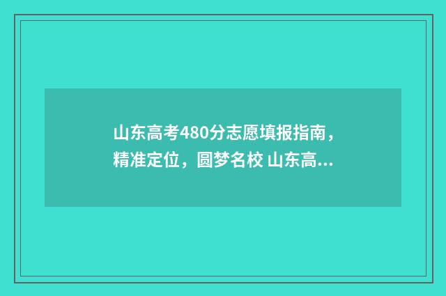 山东高考480分志愿填报指南，精准定位，圆梦名校 山东高考分数480分能上一本吗