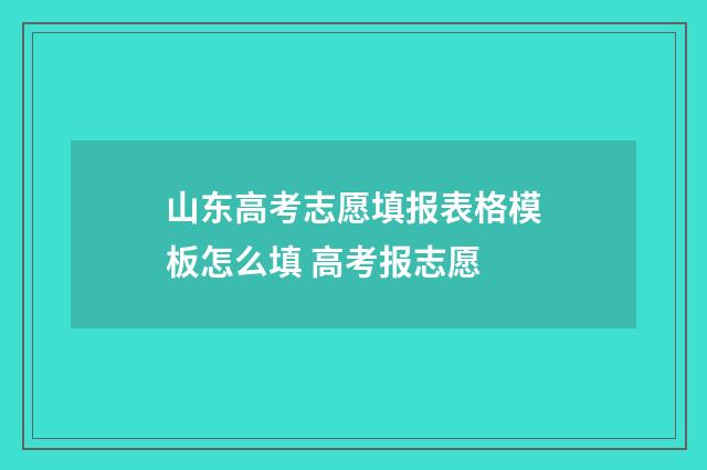 山东高考志愿填报表格模板怎么填 高考报志愿