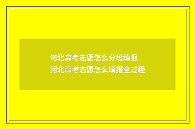 河北高考志愿怎么分段填报 河北高考志愿怎么填报全过程