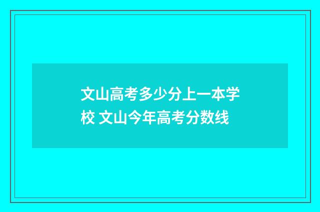 文山高考多少分上一本学校 文山今年高考分数线