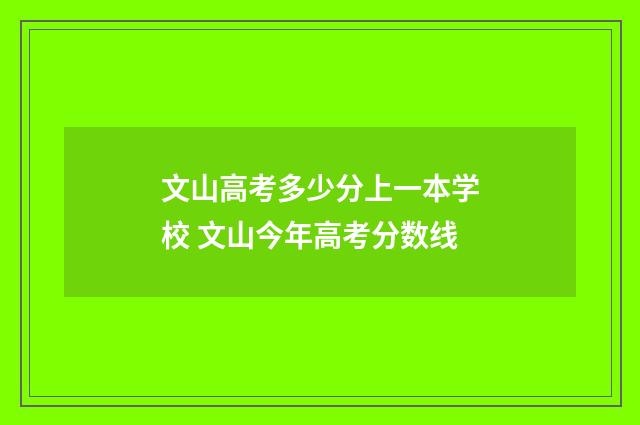 文山高考多少分上一本学校 文山今年高考分数线