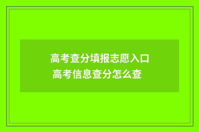 高考查分填报志愿入口 高考信息查分怎么查