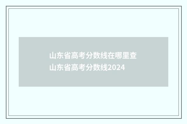 山东省高考分数线在哪里查 山东省高考分数线2024