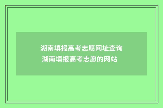 湖南填报高考志愿网址查询 湖南填报高考志愿的网站