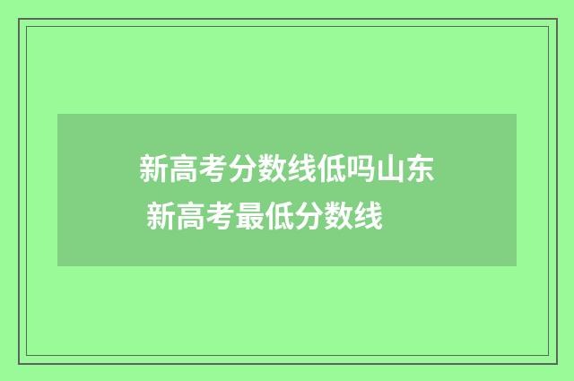 新高考分数线低吗山东 新高考最低分数线