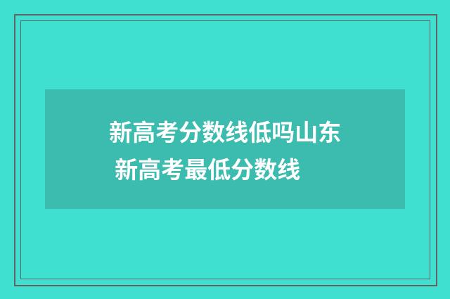 新高考分数线低吗山东 新高考最低分数线