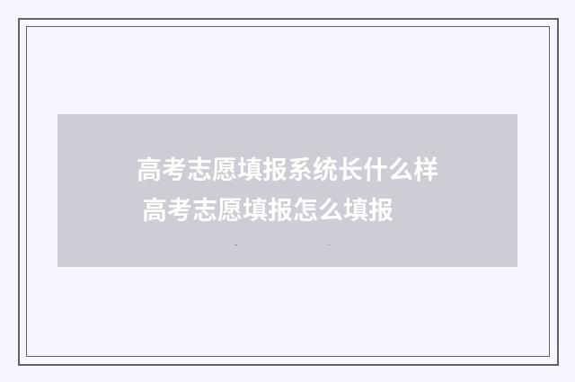 高考志愿填报系统长什么样 高考志愿填报怎么填报
