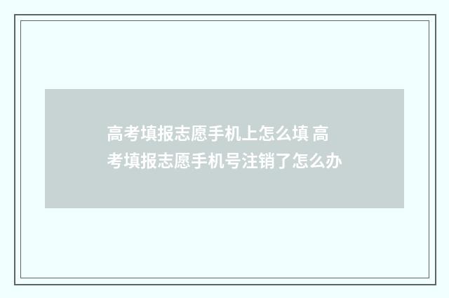 高考填报志愿手机上怎么填 高考填报志愿手机号注销了怎么办