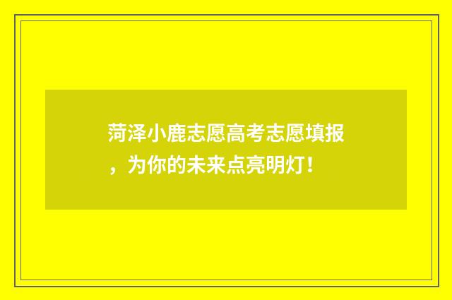 菏泽小鹿志愿高考志愿填报，为你的未来点亮明灯！