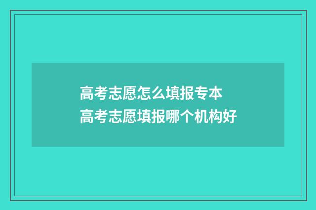 高考志愿怎么填报专本 高考志愿填报哪个机构好